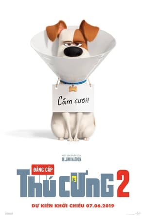 Đẳng Cấp Thú Cưng 2Hình bìa