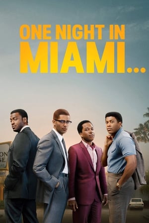 Một đêm ở MiamiHình bìa