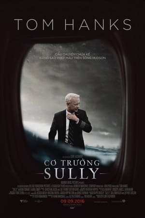 Cơ Trưởng SullyHình bìa