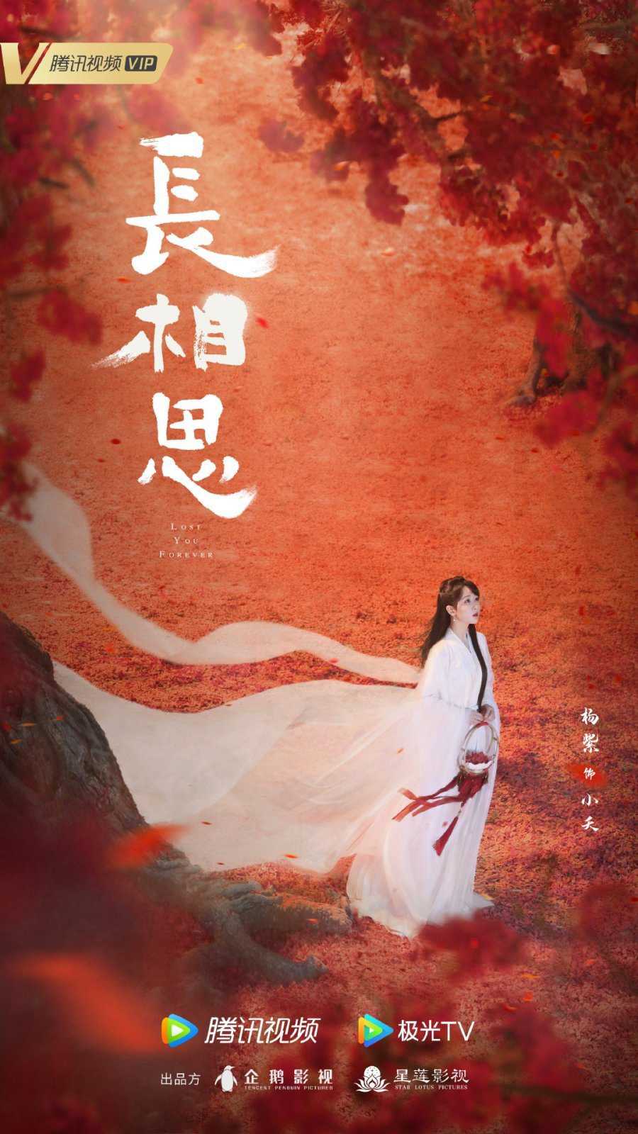 Trường Tương TưHình bìa