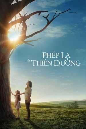 Phép Màu Từ Thiên ĐàngHình bìa