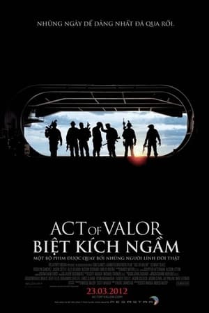 Biệt Kích Ngầm (2012)Hình bìa