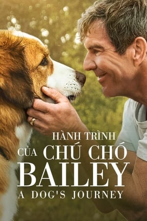 Hành Trình Của Chú Chó BaileyHình bìa