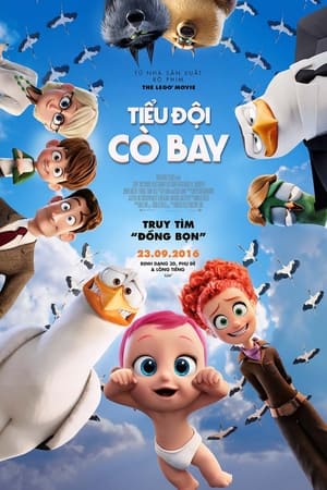 Tiểu Đội Cò BayHình bìa