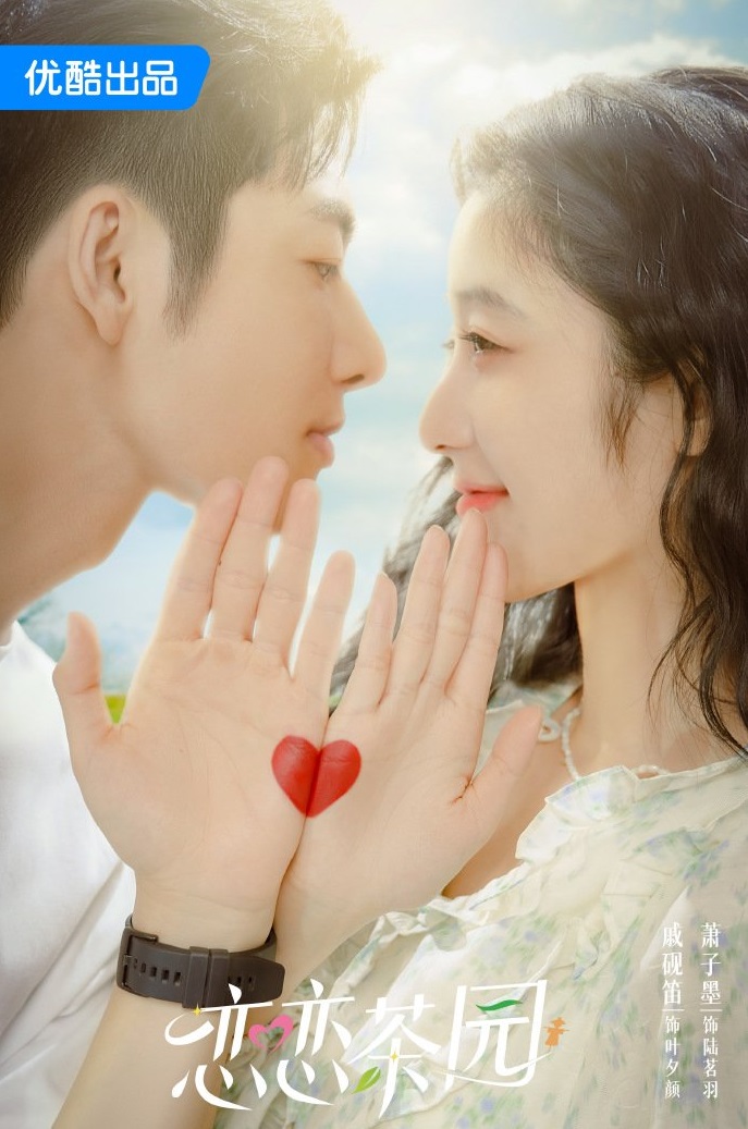 Đồi Trà Tình YêuHình bìa