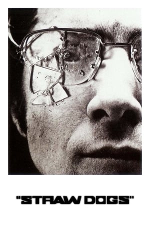 Chó Rơm (1971)Hình bìa