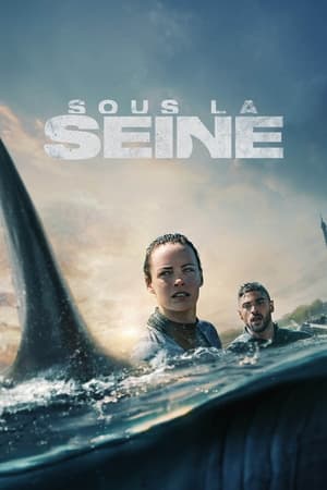 Phía Dưới Sông SeineHình bìa