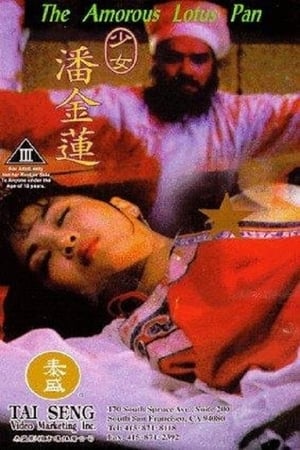 Thiếu Nữ Phan Kim LiênHình bìa
