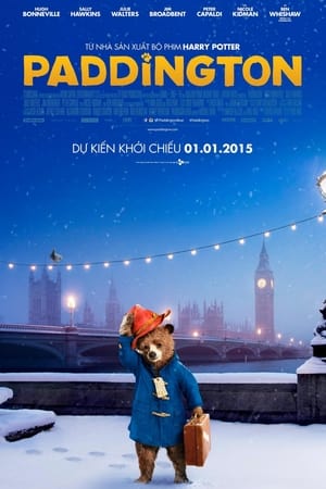 Gấu PaddingtonHình bìa