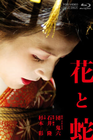 Hoa Và RắnHình bìa