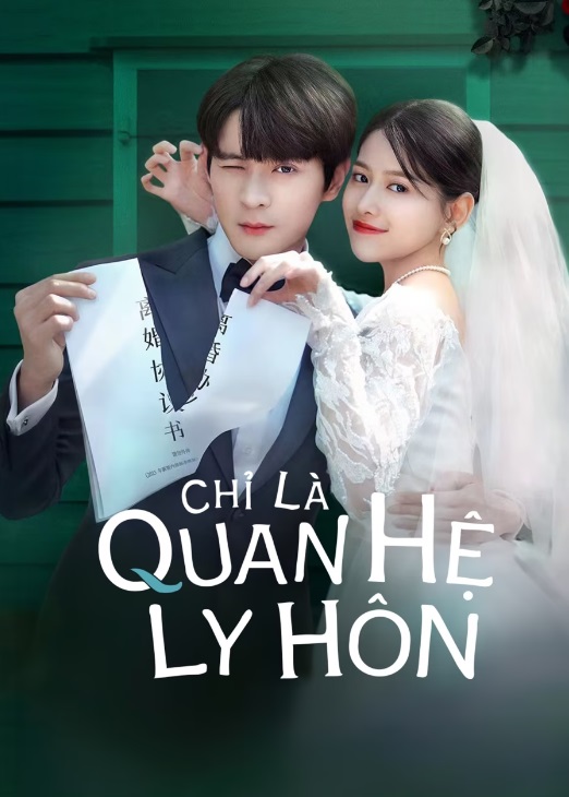 Chỉ Là Quan Hệ Ly HônHình bìa