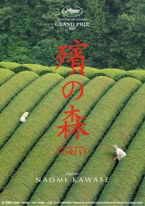 Khu rừng tang tócHình bìa