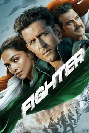 FighterHình bìa