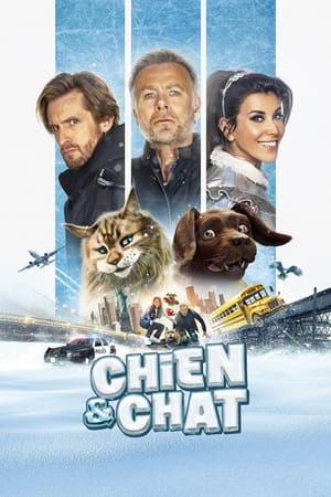 Mèo Và ChóHình bìa