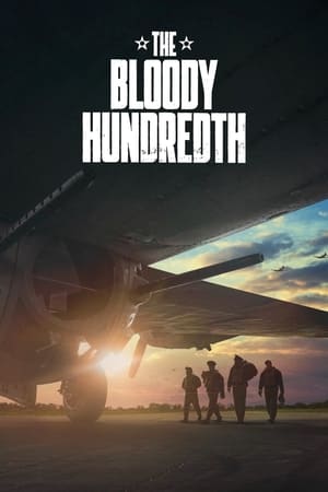 Phi Đội Máy Bay Cảm Tử 100 - The Bloody HundredthHình bìa