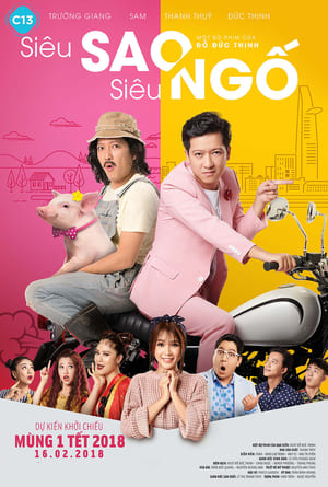 Siêu Sao Siêu NgốHình bìa