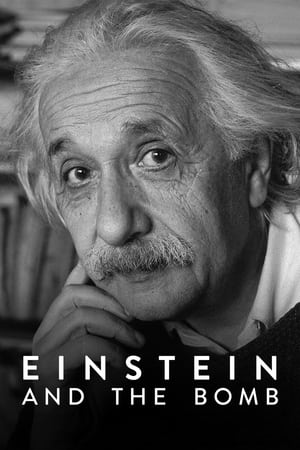 Einstein và trái bomHình bìa