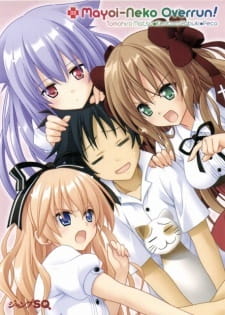 Mayoi Neko Overrun! SpecialsHình bìa