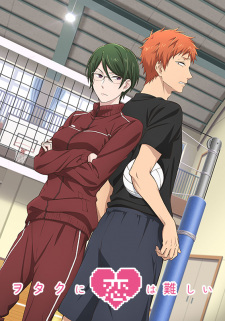 Wotaku ni Koi wa Muzukashii OVAHình bìa
