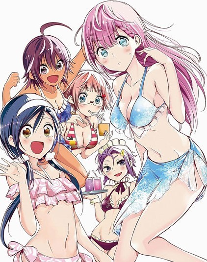 Bokutachi wa Benkyou ga Dekinai OVAHình bìa