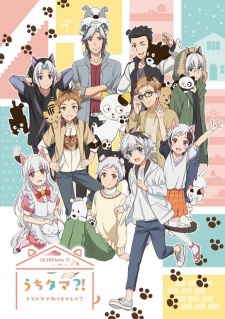 Uchi Tama?! Uchi no Tama Shirimasen ka?Hình bìa