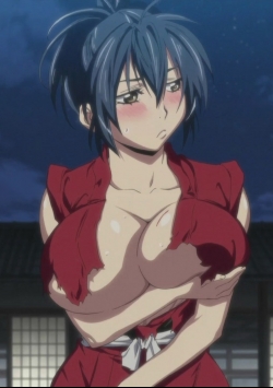 Manyuu Hikenchou SpecialsHình bìa