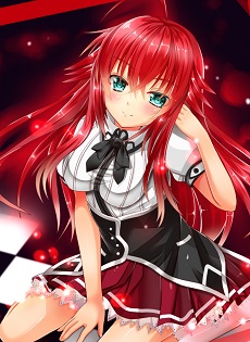 High School DxD SpecialsHình bìa
