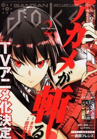 Akame ga Kill!Hình bìa