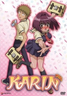 KarinHình bìa