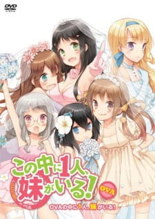 Kono Naka ni Hitori, Imouto ga Iru!: Ani, Imouto, KoibitoHình bìa