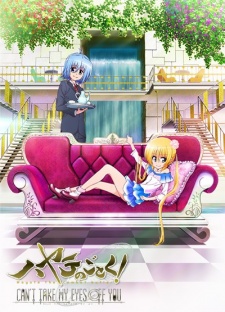 Hayate no Gotoku! Can't Take My Eyes Off YouHình bìa