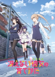 Saenai Heroine no SodatekataHình bìa