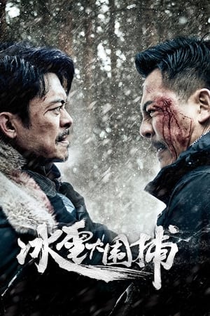 Bão Tuyết - SnowstormHình bìa