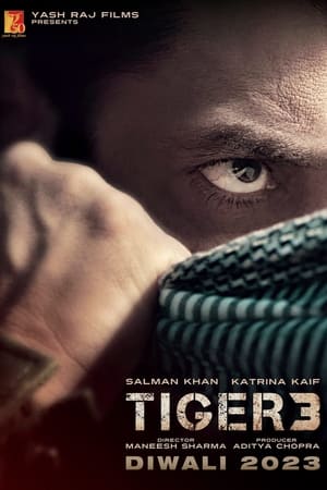Tiger 3Hình bìa