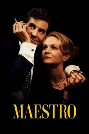 MaestroHình bìa