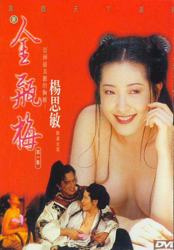 Tân Kim Bình MaiHình bìa