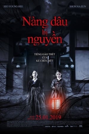 Nàng Dâu Bị NguyềnHình bìa