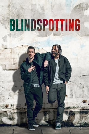 BlindspottingHình bìa
