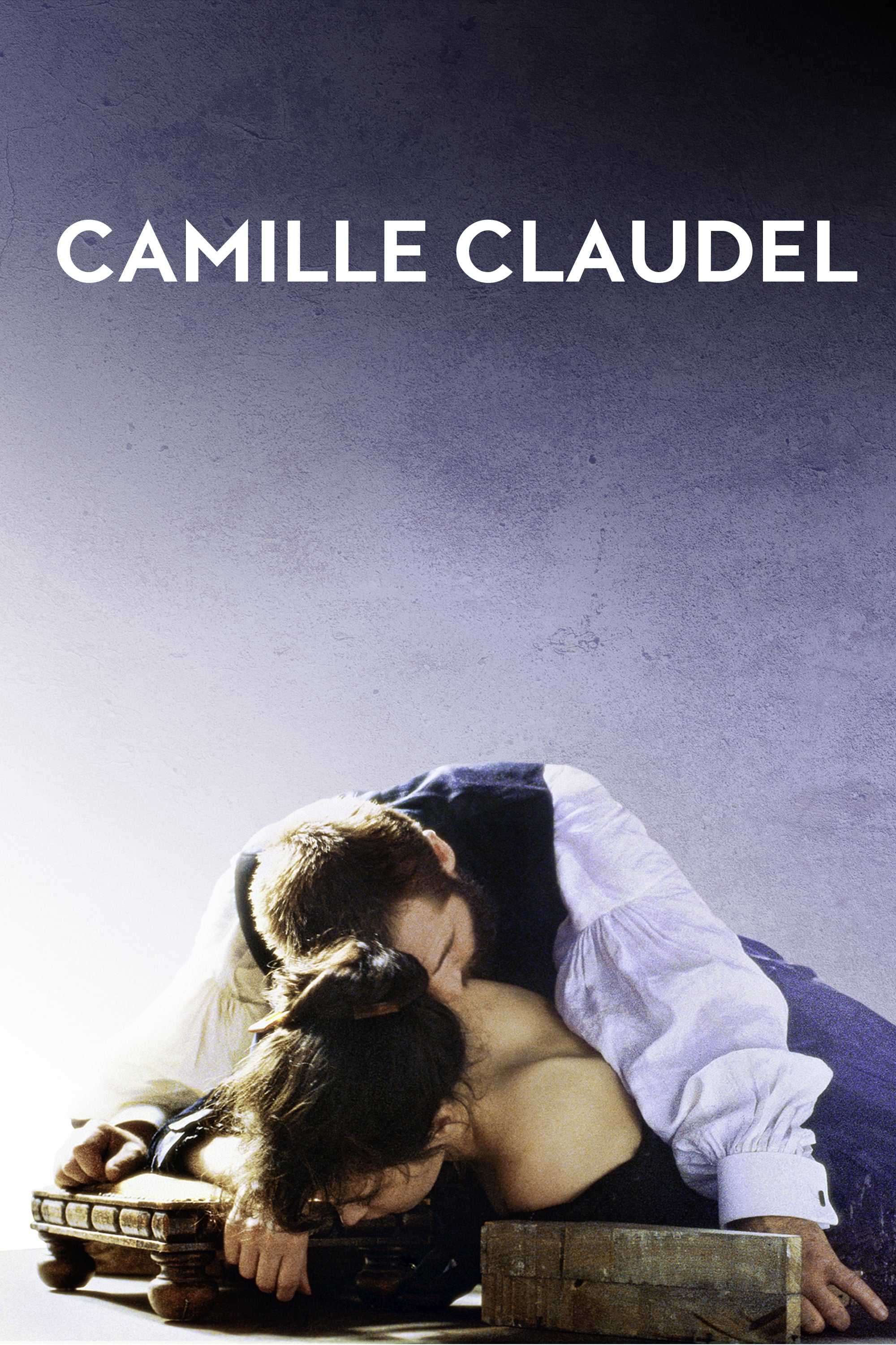 Camille: Cuộc Đời Và Số PhậnHình bìa