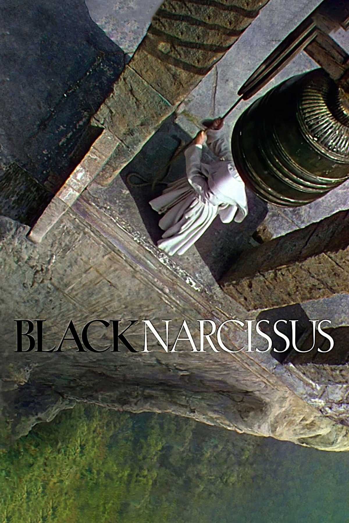 Black NarcissusHình bìa