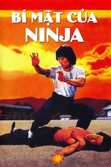 Bí Mật Của NinjaHình bìa