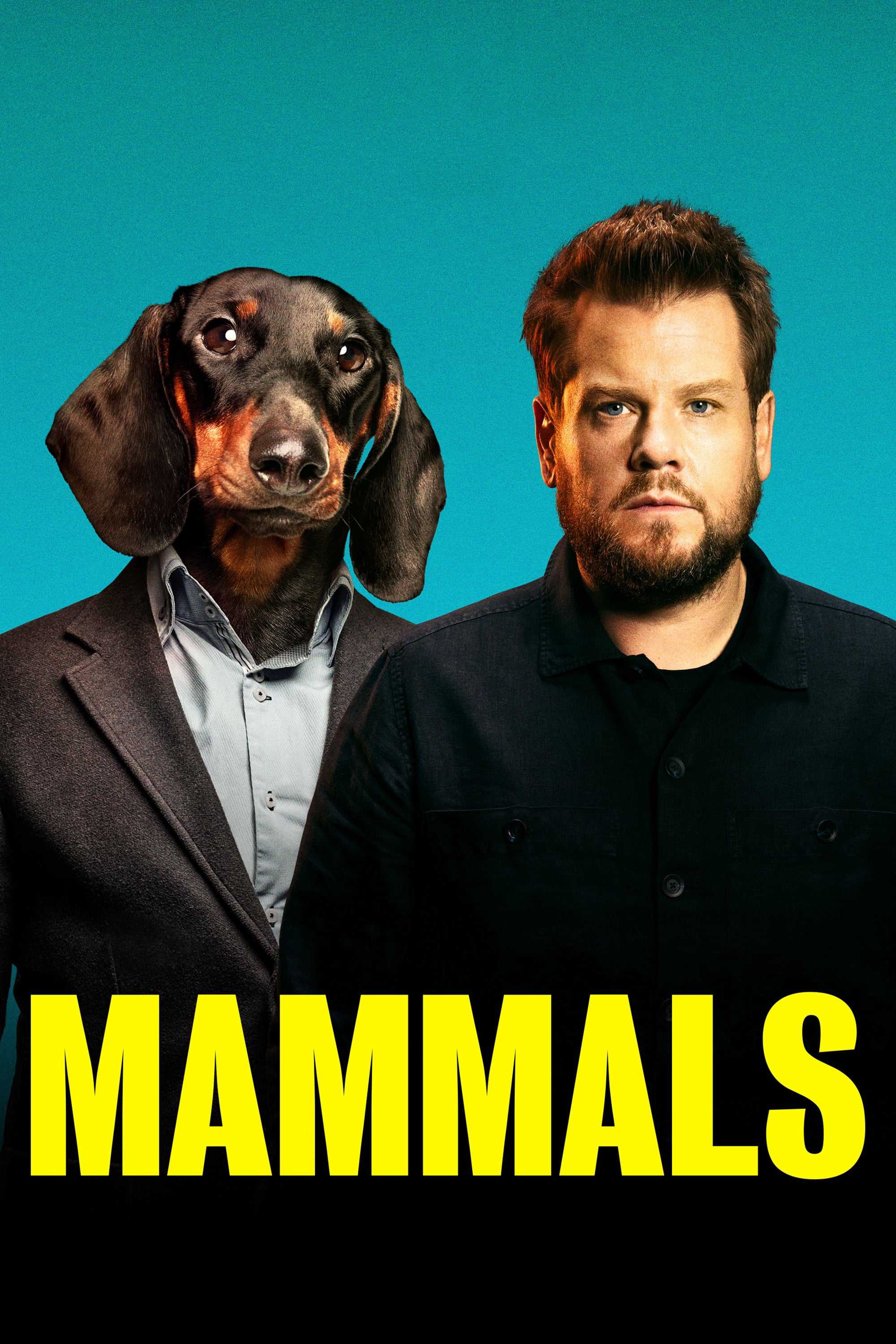 MammalsHình bìa