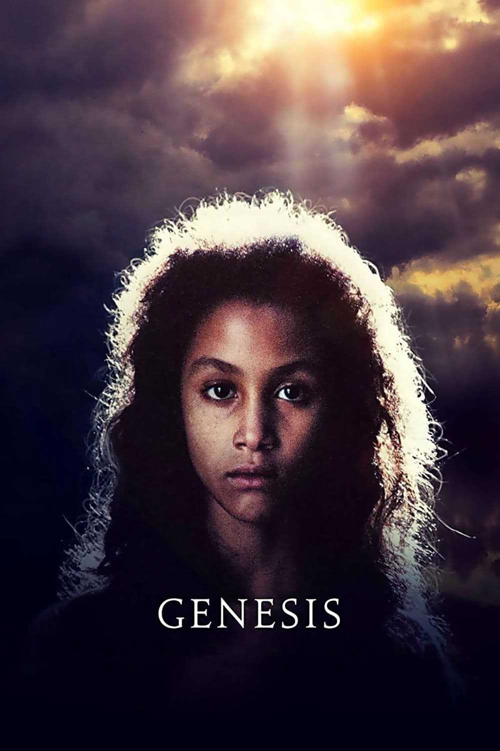 Genesis: The Creation and the FloodHình bìa