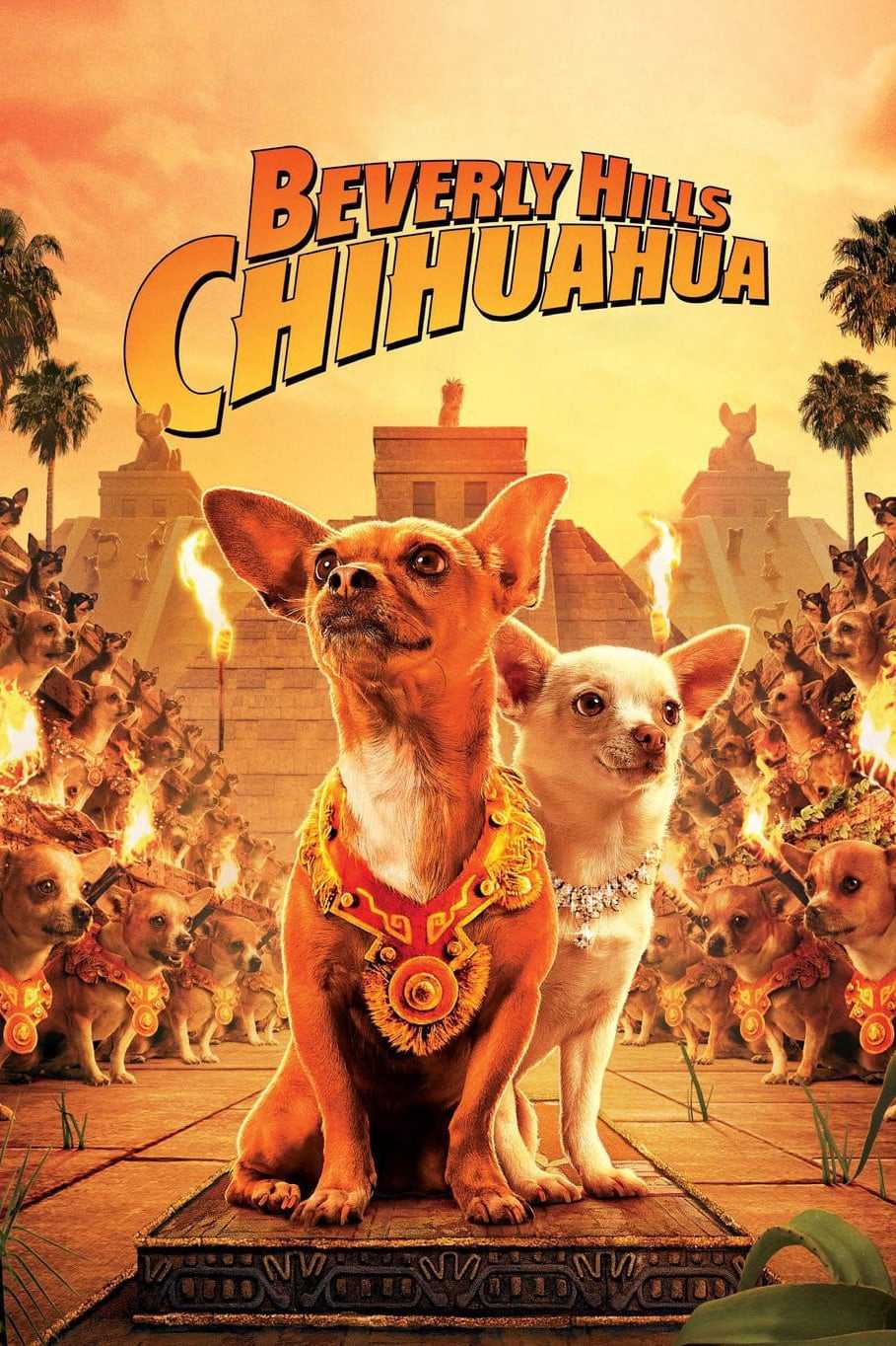 Những Chú Chó ChihuahuaHình bìa