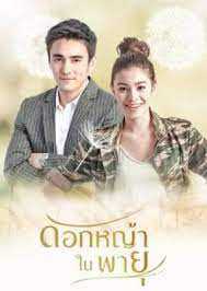 Hoa Cỏ Lau Trong BãoHình bìa