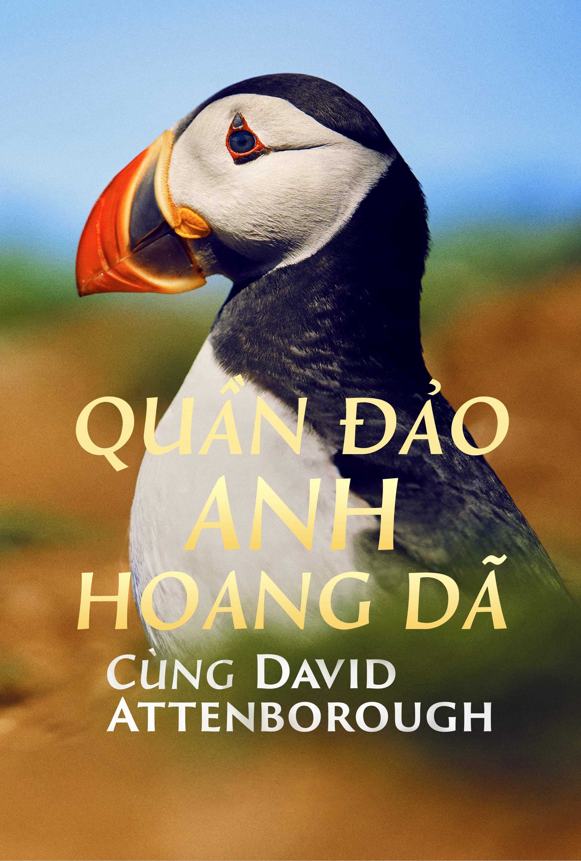 Quần Đảo Anh Hoang DãHình bìa