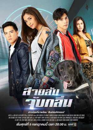 Điệp Viên Săn MùiHình bìa