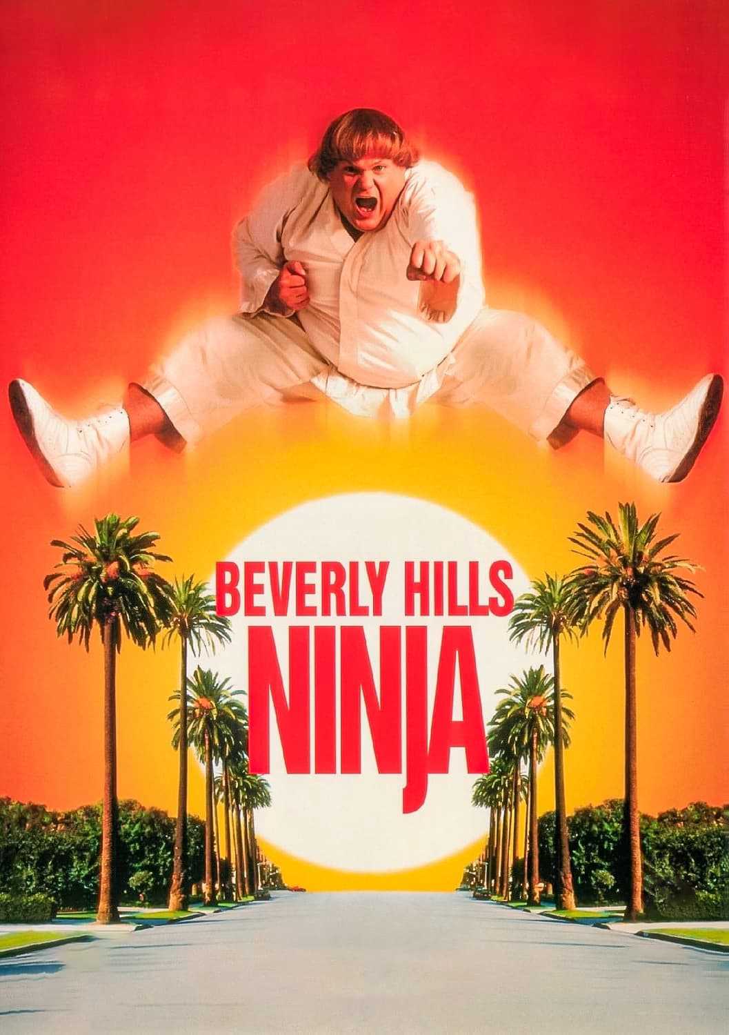 Ninja Béo ÙHình bìa
