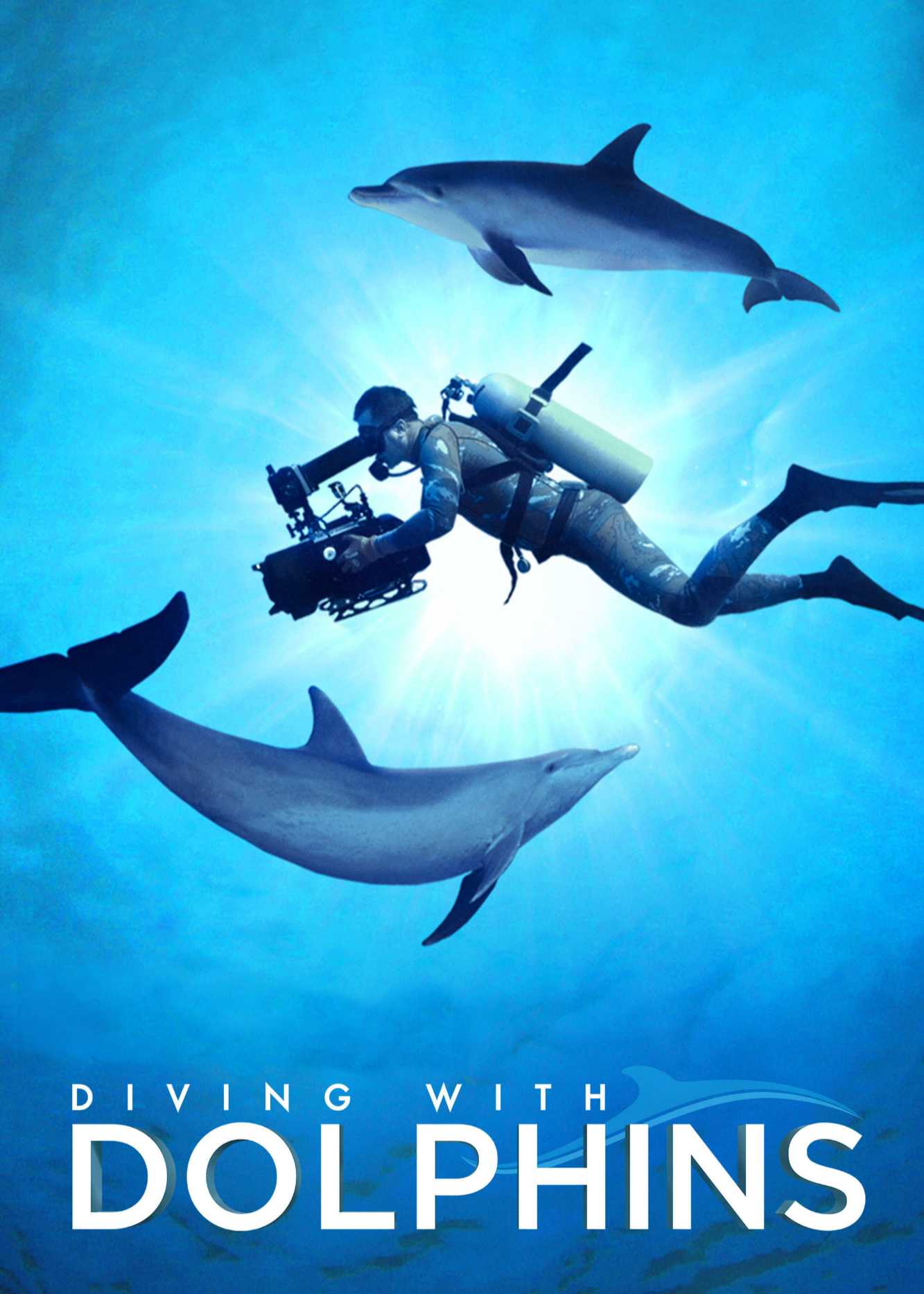 Diving with DolphinsHình bìa