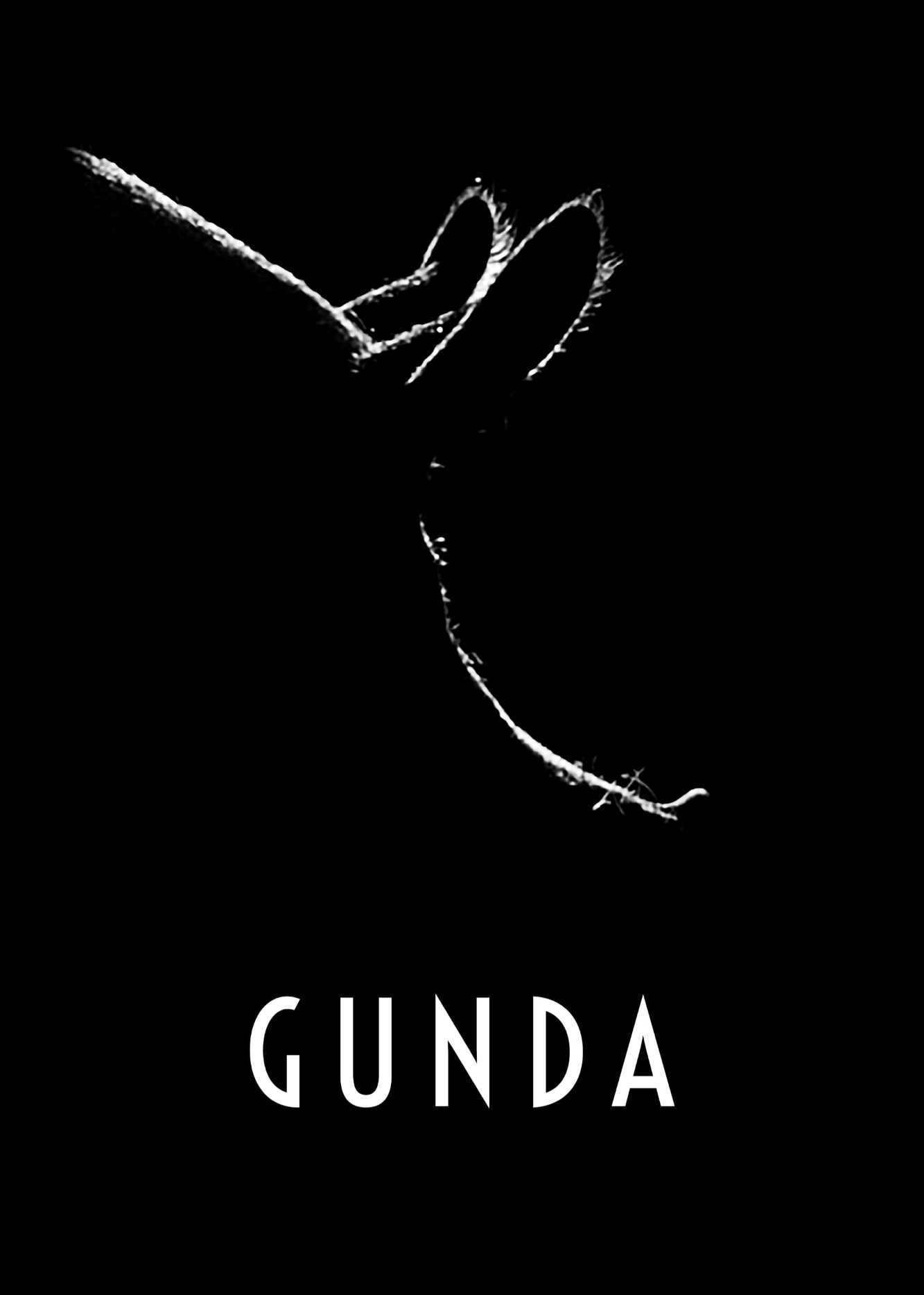 GundaHình bìa